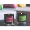 1081 3 sviecka v skle ambient 170g citrus byliny