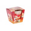 CHRISTMAS TIME cinnamon orange 115g sviečka v skle Bartek
