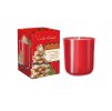 WINTER WONDER cookies witch vanila 150g sviečka v skle Bartek