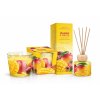 mango a fruits set