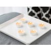 928 1 bispol tealights sviecka cajova 100ks 4h
