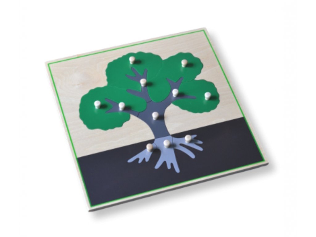 Montessori dřevěné puzzle Části stromu