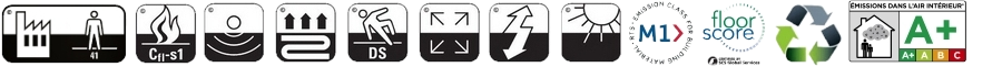 dt-plus