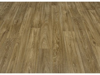 havanna oak 602m 01