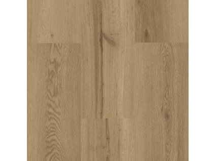 dub elegantni svetly 1
