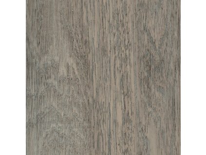 trent oak 01