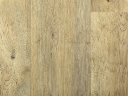 wood arctic 01