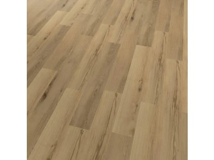 Conceptline 30133 Dub Berlin 01