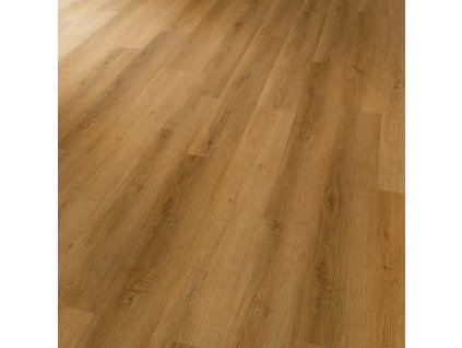 Conceptline 30122 Dub zlatý 01