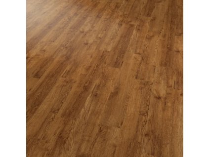 Conceptline 30115 Dub rustikal zlatý 01