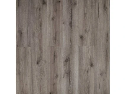 ShowHome 2668 Maple Shade