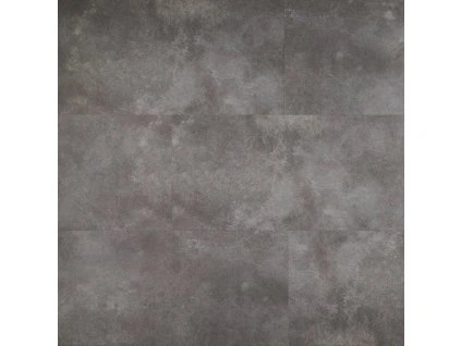 ShowHome 2466 Stonebrook