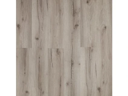 Showhome click 2669 Serenade