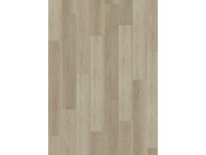 OFX 055 001 Frontal scaled