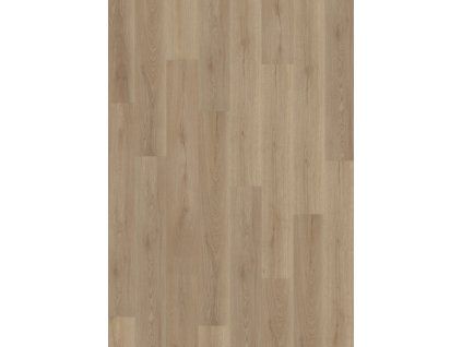 OFX 055 010 Frontal scaled