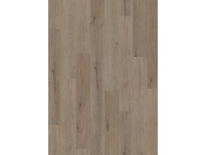 OFX 055 005N Frontal scaled