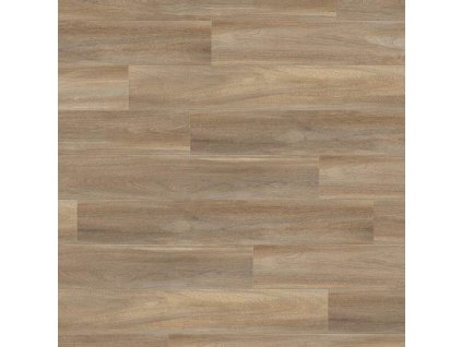 0871 bostoniak oak