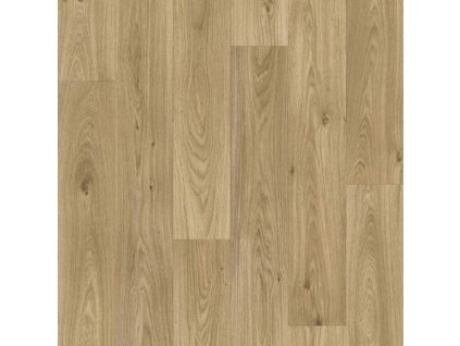 gambel oak 116m 1