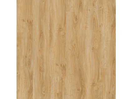 English Oak Classical 1