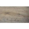 dub kamencovy 01 LVT9719