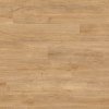 0796 swiss oak golden