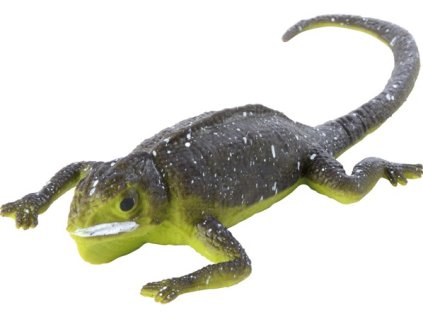 jesterka