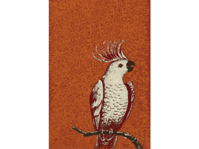 Kusový koberec Kakadu orange