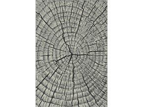 Kusový koberec Kolibri 11261-190