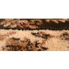 Oválný kusový koberec Lotos 523-310o