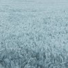 Kusový koberec Fluffy Shaggy 3500 blue