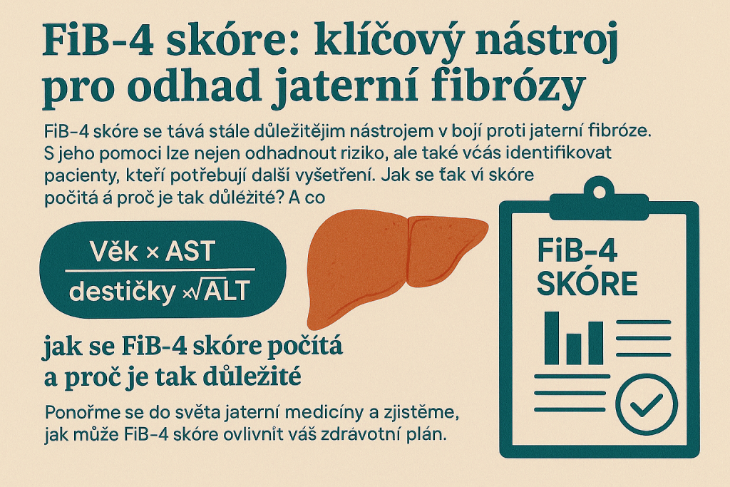 FIB-4 krevní test