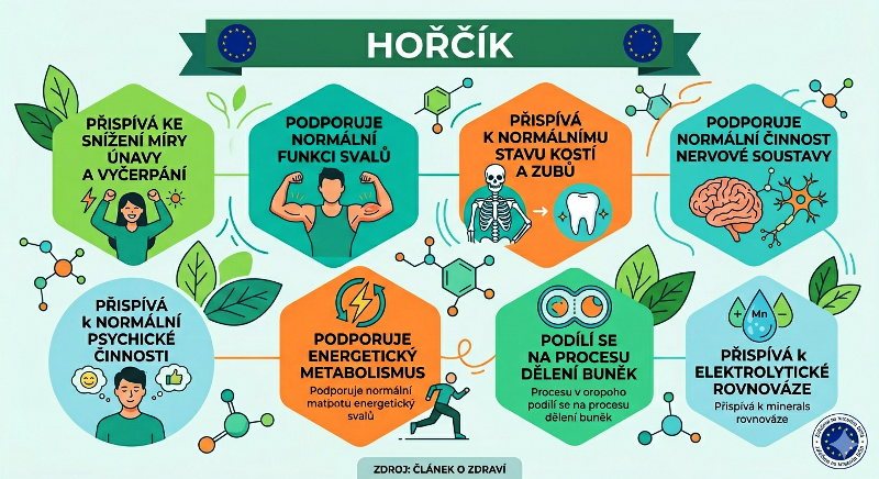 Hořčík: k čemu je dobrý, příznaky deficitu a jak vybrat správnou formu doplňku