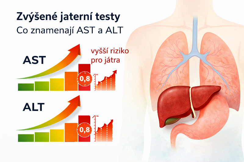 Zvýšené jaterní testy: co znamenají AST a ALT a kdy řešit problém