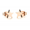 Dámské minimalistické pozlacené náušnice hvězda z oceli STAR Rose gold