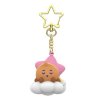 Schooky Keyring