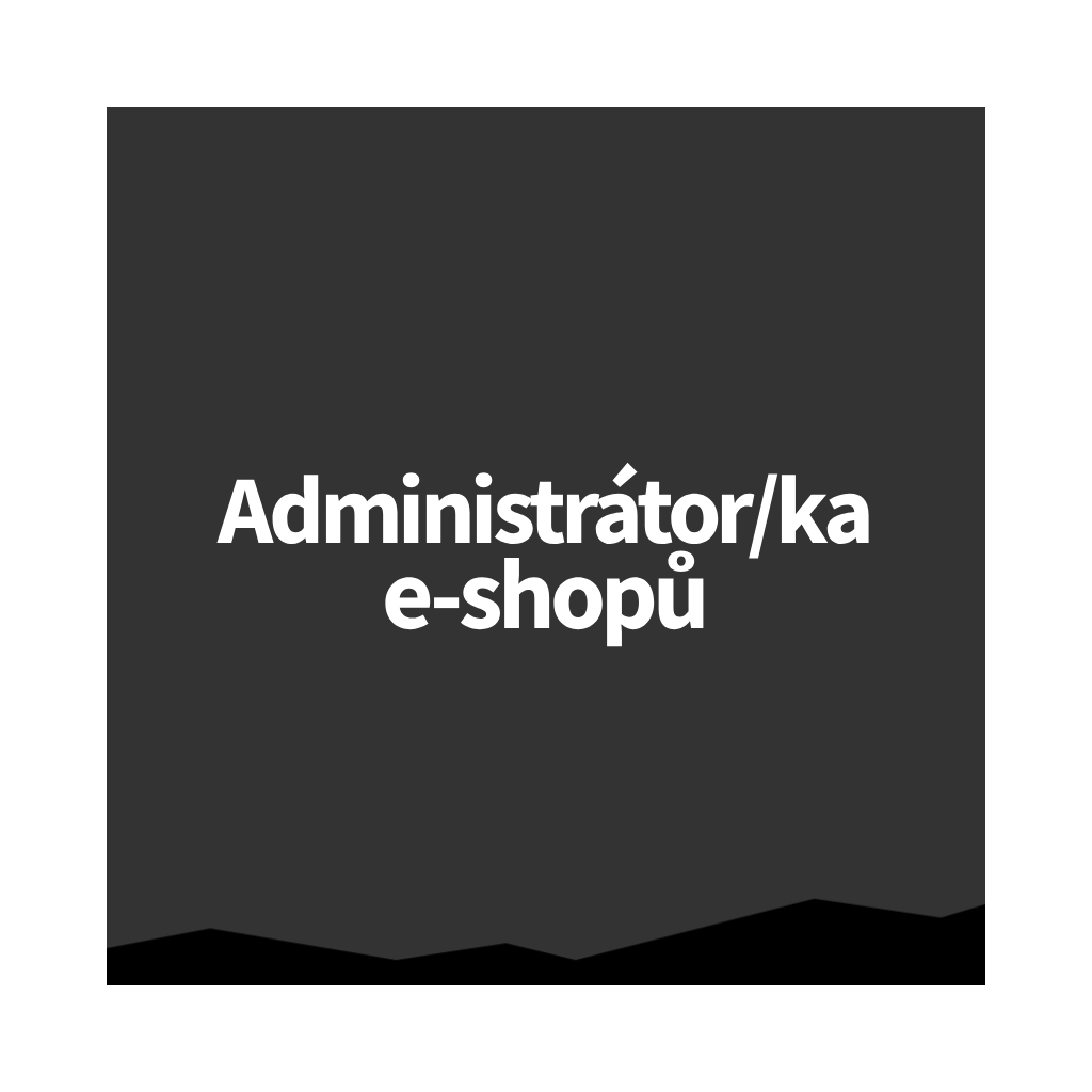 Brigáda Brno: Administrátor/ka e-shopů (POZICE JIŽ OBSAZENA)