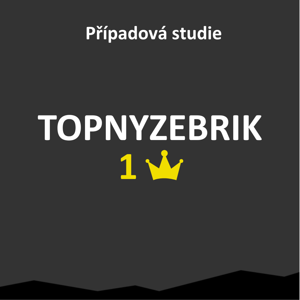 Případová studie: TOPNYZEBRIK.CZ, absolutní organická jednička v SEO mezi prodejci topných žebříků