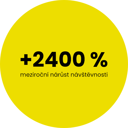 Náhled případové studie