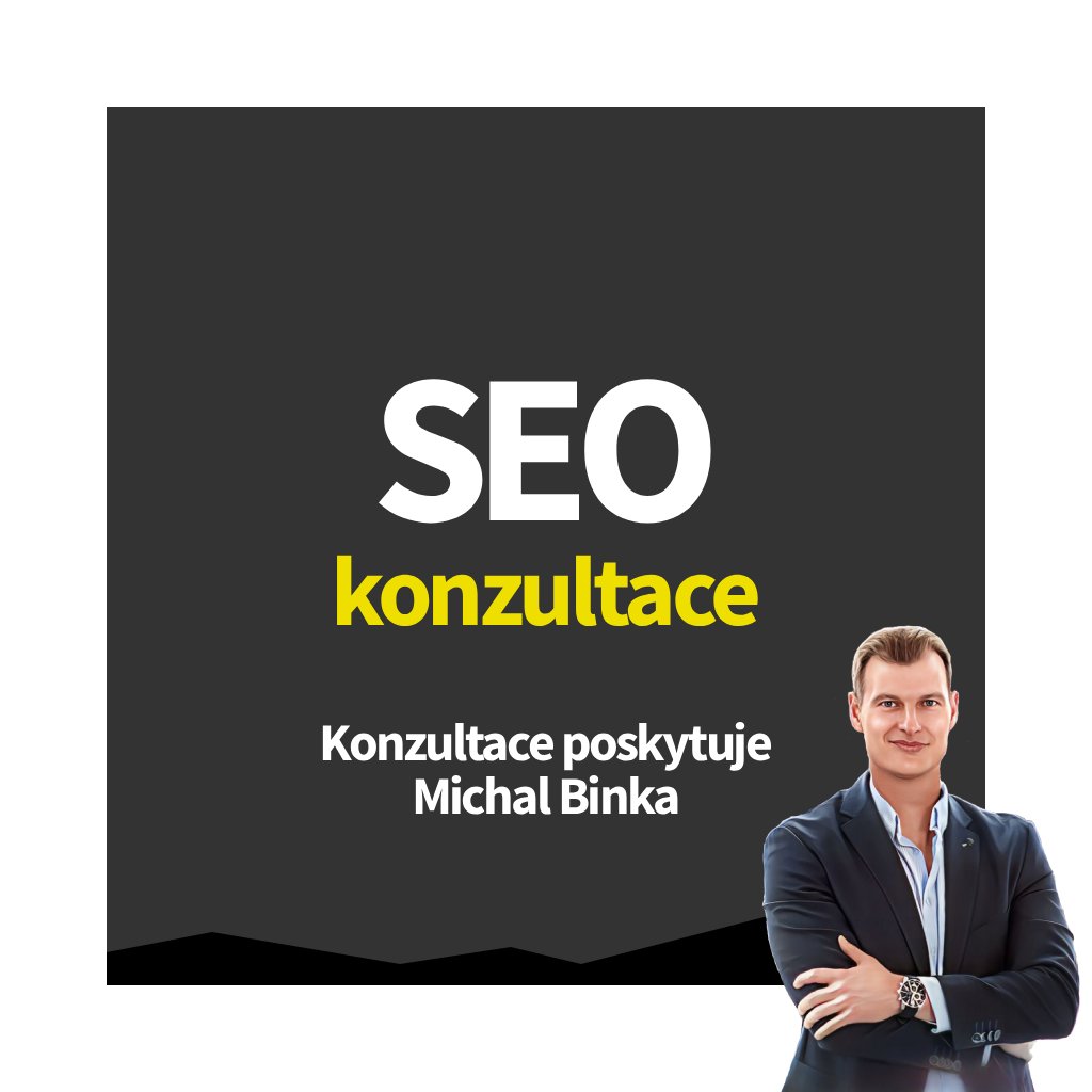 seo-konzultant