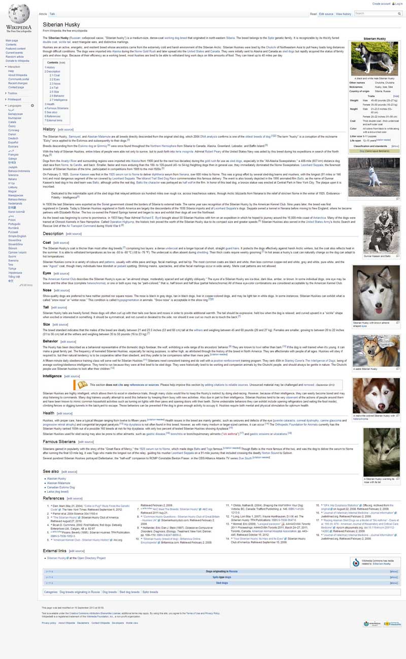 SiberianHusky_Wikipedia2