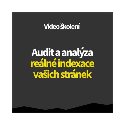 seo video skoleni audit indexace