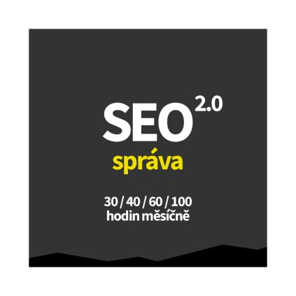 seo 2.0 sprava