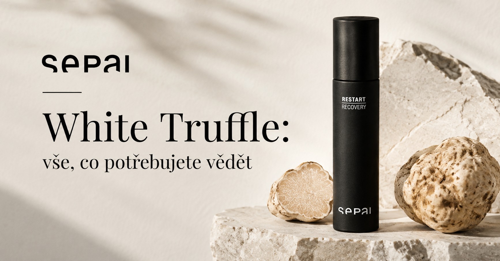 White Truffle: vše, co potřebujete vědět
