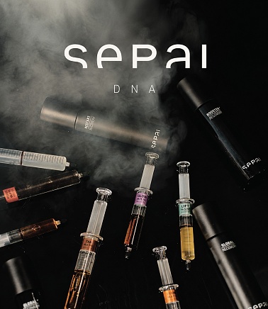 Sepai DNA