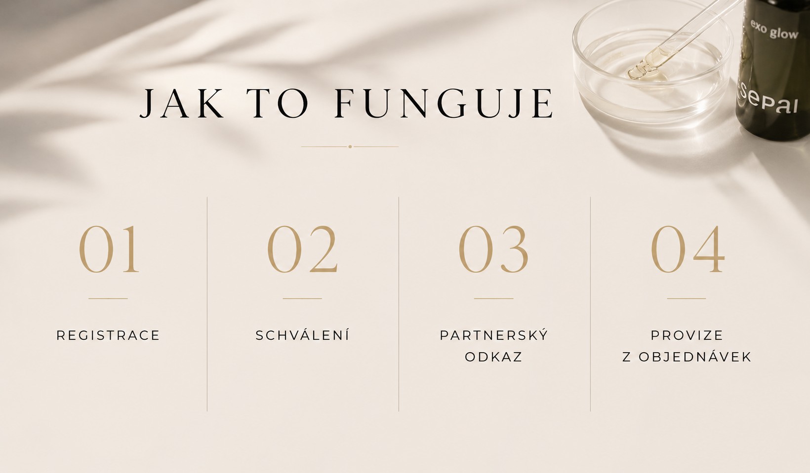 partnerský-program-jak-funguje