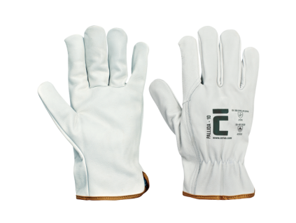 PALLIDA rukavice celokožené (Velikost 8)