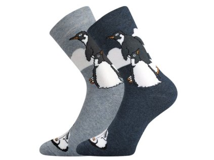 Ponožky silné celofroté BEDŘICH s tučňáky (2 páry) (Velikost 35-38 (23-25), Barva mix)