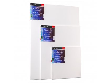 Malířské plátno 20 x 20 cm Ami