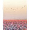 2382 20577 A