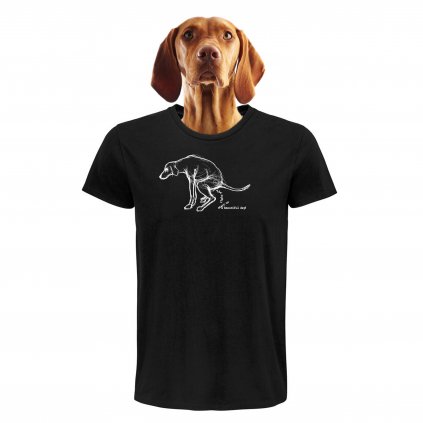 Beautiful day man black dog